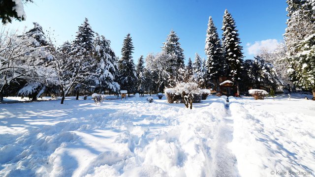 Snow was about 70 centimeters deep on January 4